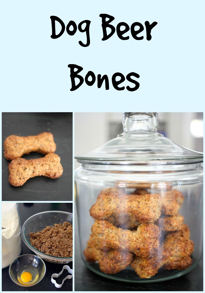 dog beer bones