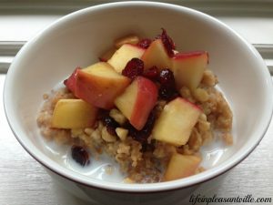 slow cooker oatmeal