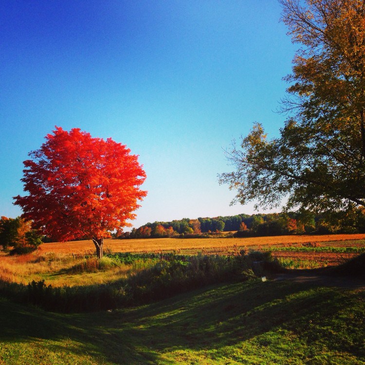 Ontario road trip