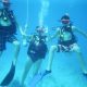 Scuba Diving Family Vacations, Beaches, Turks & Caicos, Padi, Learn to scuba, beginners