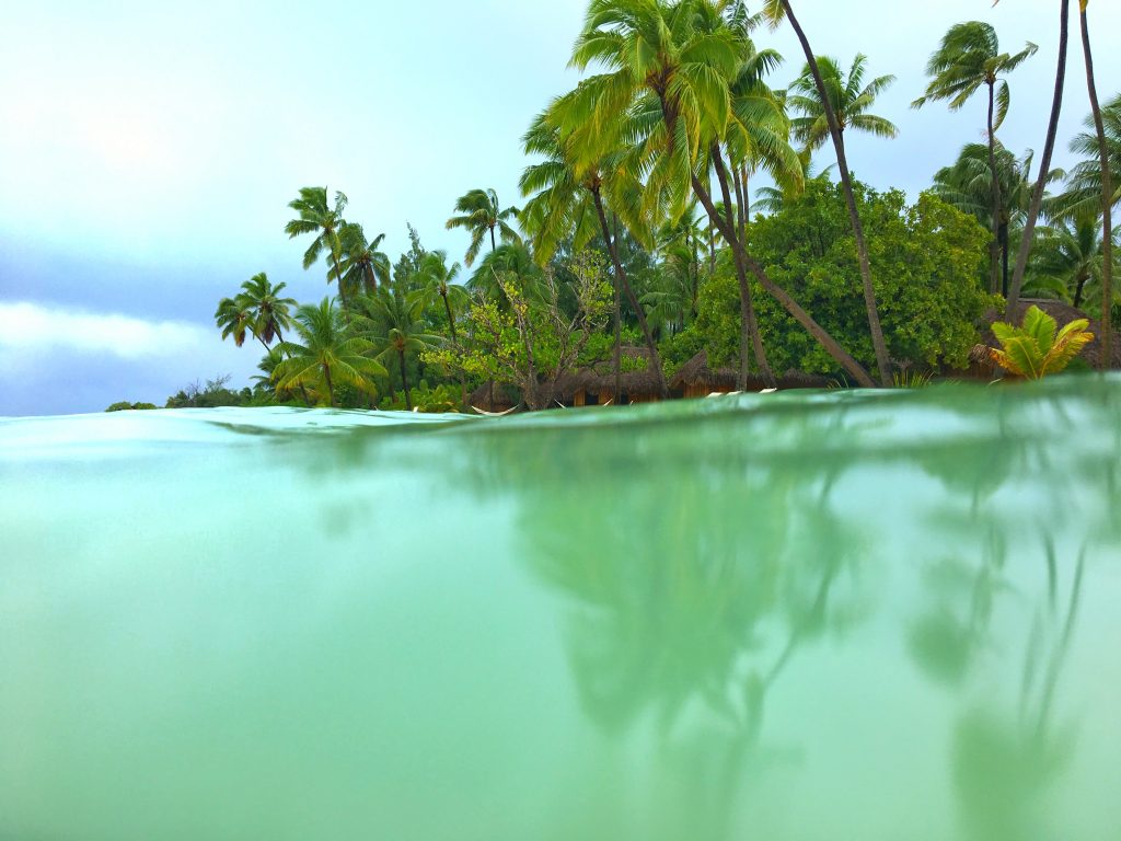 before you go to Tahiti, snorkel