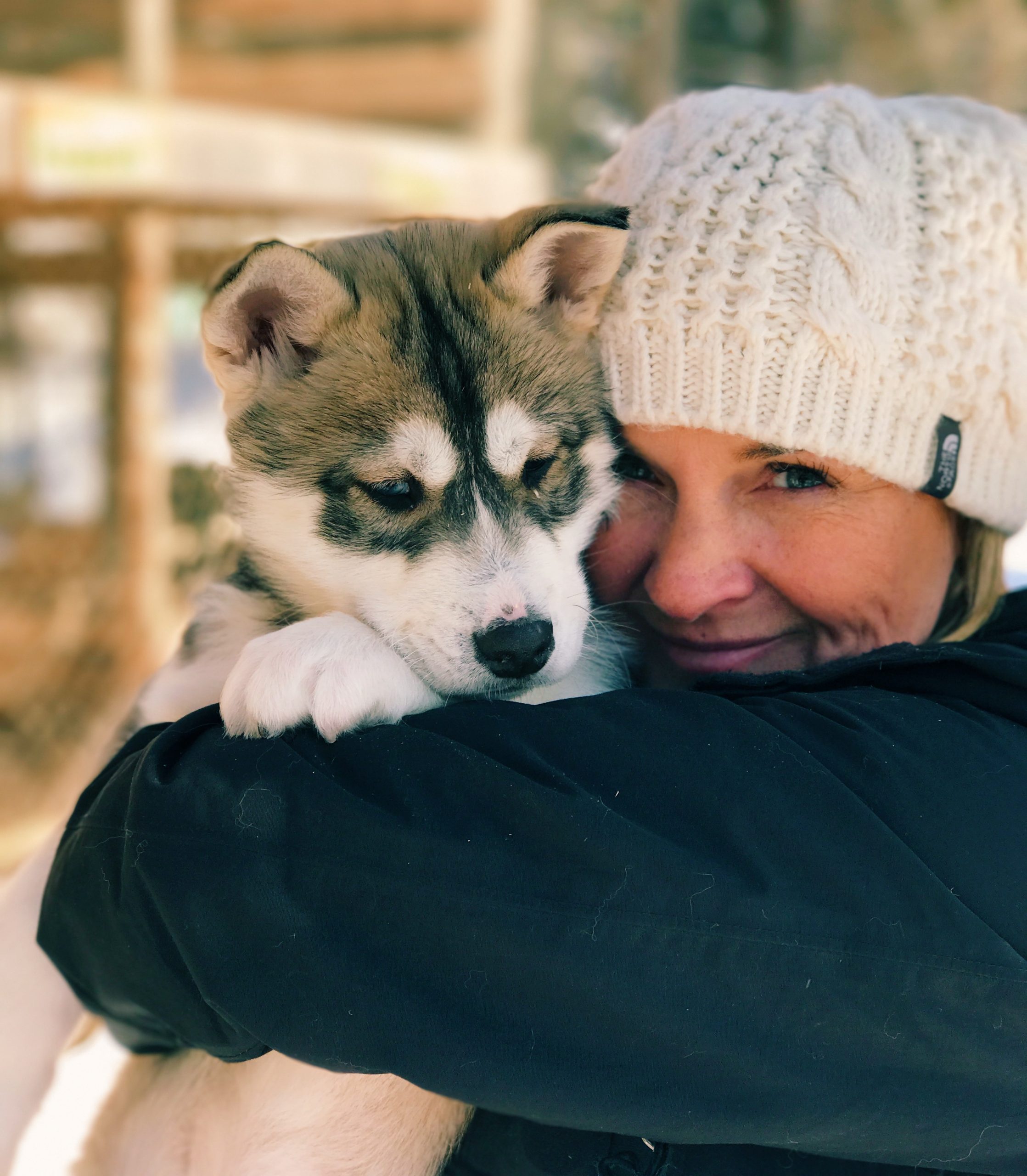 Dogsledding in Mont Tremblant