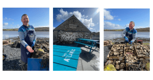 irish oysters farming