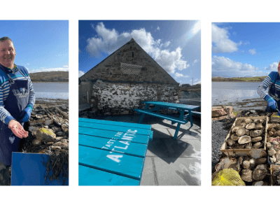 irish oysters farming