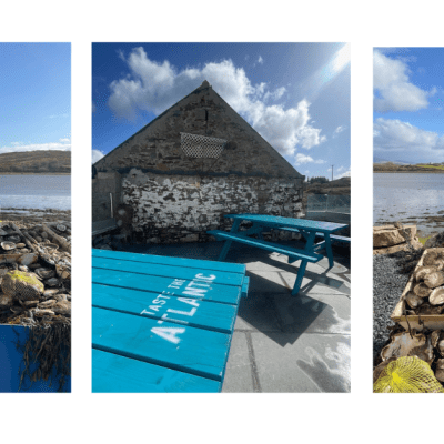 irish oysters farming